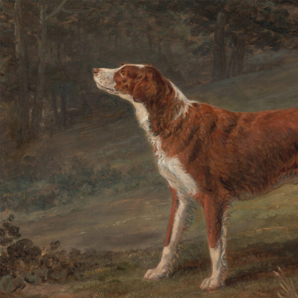 Cabin/Lodge Animals Irish Red and White Setter Dog Oil Painting Print on Canvas