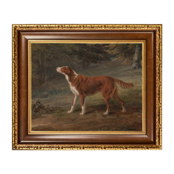 Sporting and Lodge Paintings Irish Red and White Setter Dog Oil Painting Print on Canvas in Brown and Antiqued Gold Frame
