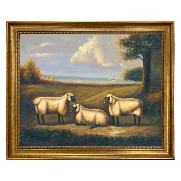 Farm/Pastoral Farm Three Prize Sheep Framed Oil Painting Print on Canvas in Antiqued Gold Frame