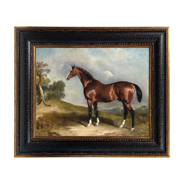 Equestrian Paintings Equestrian Portrait of Sultan in Landscape Framed Oil Painting Print on Canvas in Leather-Looking Black and Antiqued Gold Frame. An 11″ x 14″ framed to 15-3/4″ x 18-3/4″.