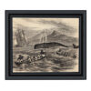 Nautical Nautical Pursuit of the Greenland Whale Etching Framed Print Behind Glass in Black Wood Frame