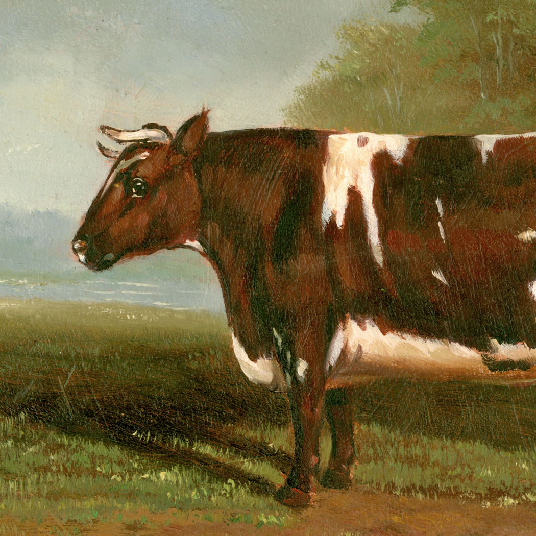 Farm/Pastoral Early American Prize Heifer Bull Framed Oil Painting  ...