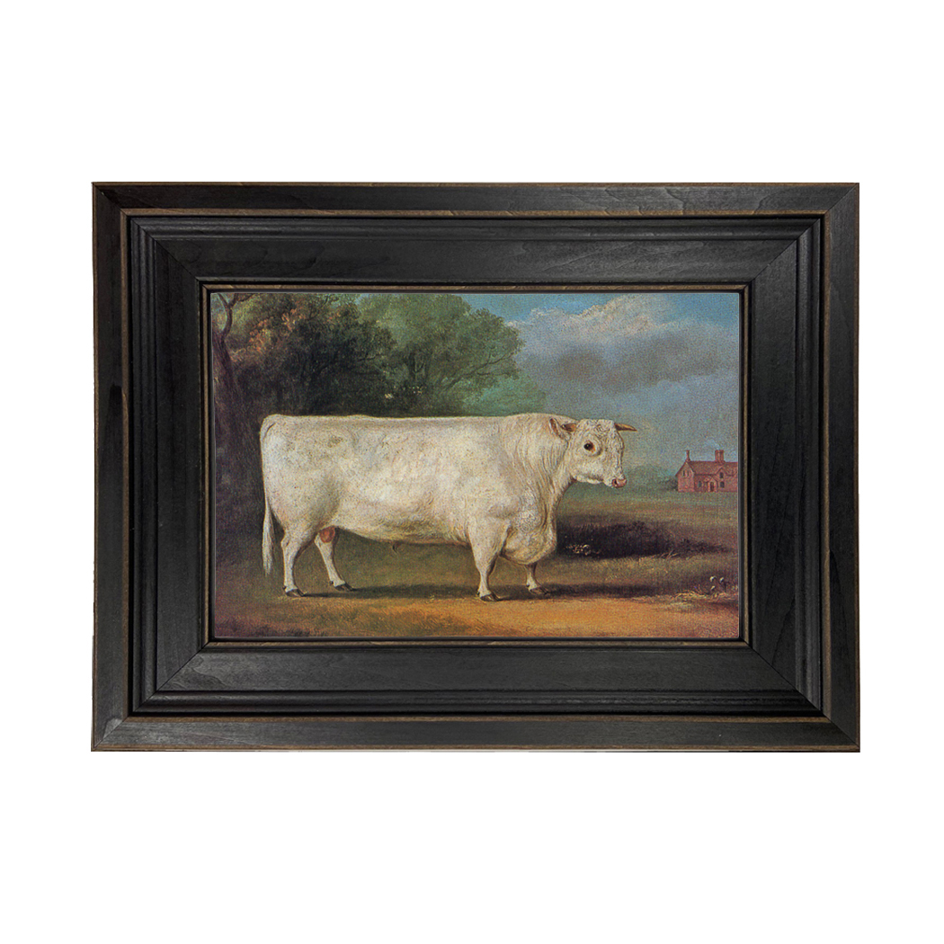 Farm/Pastoral Early American The Prize Bull Framed Oil Painting Pri ...
