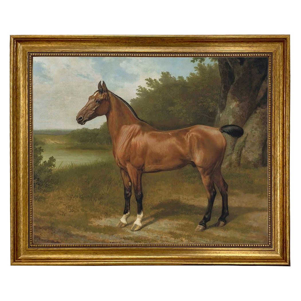 Equestrian/Fox Early American Horse In Landscape Framed Oil Painting ...