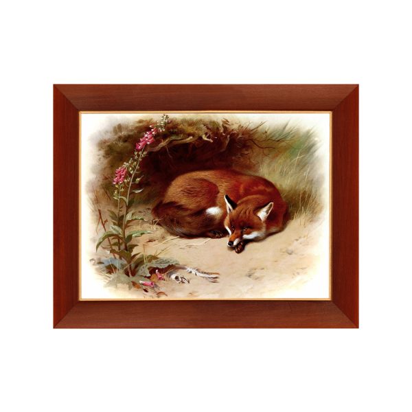 Equestrian/Fox Equestrian Red Fox Vintage Style Illustration Framed Print