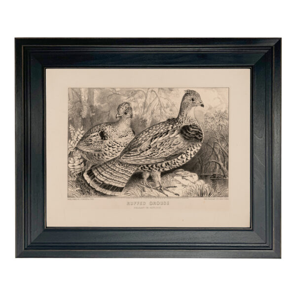 Cabin/Lodge Bird hunting Pair of Ruffed Grouse Vintage Currier & Ives Print Reproduction Framed Behind Glass
