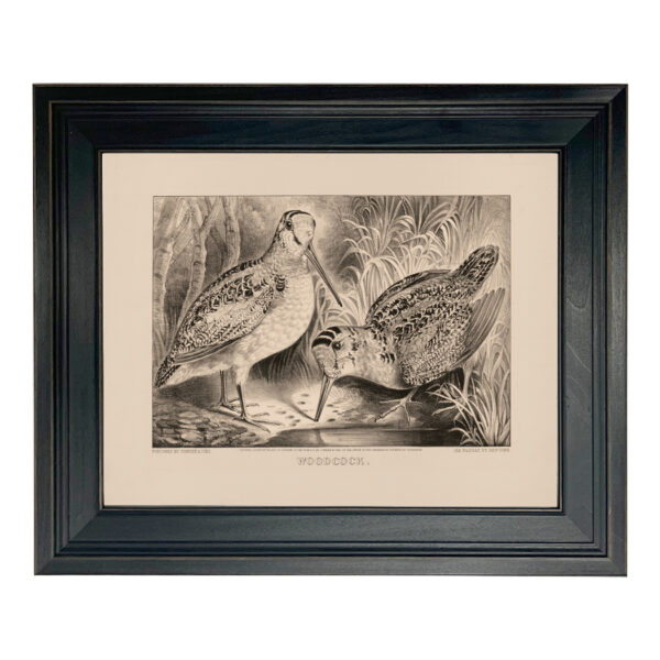 Cabin/Lodge Botanical/Zoological Pair of Woodcocks Vintage Currier & Ives Print Reproduction Framed Behind Glass