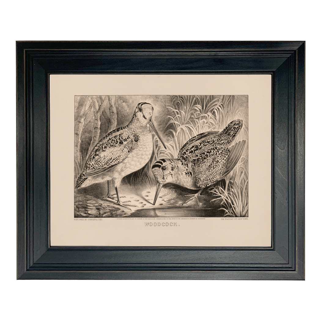 Cabin/Lodge Botanical/Zoological Pair of Woodcocks Vintage Currier &#03 ...
