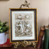 Nautical Nautical Mermaid & Merman Nautical Illustration Framed Reproduction Print Behind Glass