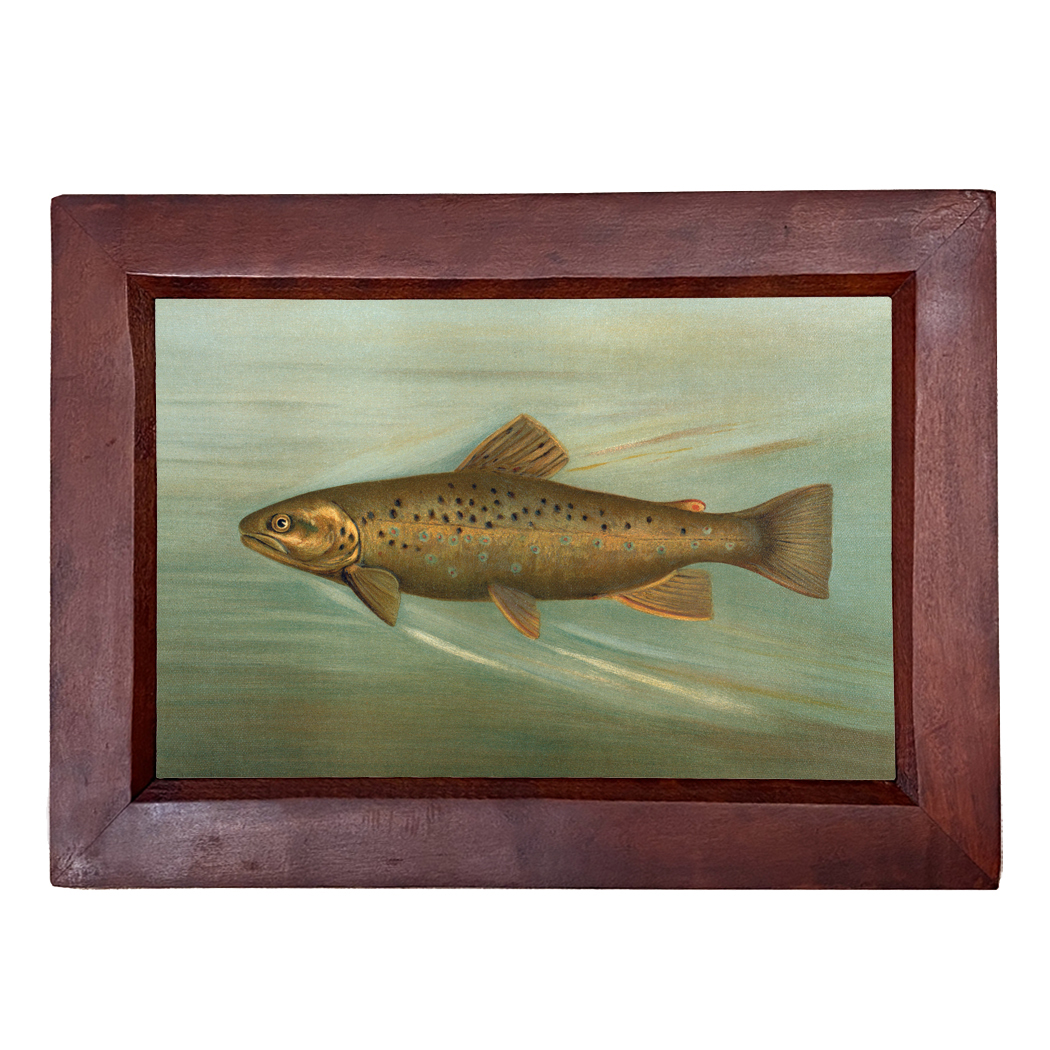 Cabin/Lodge Lodge Brown Trout Reproduction Print, Framed ...
