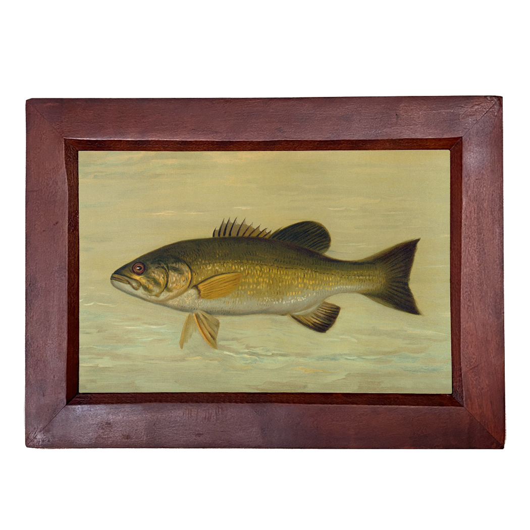 Cabin/Lodge Lodge Smallmouth Black Bass Reproduction Print, Framed Behind Glass