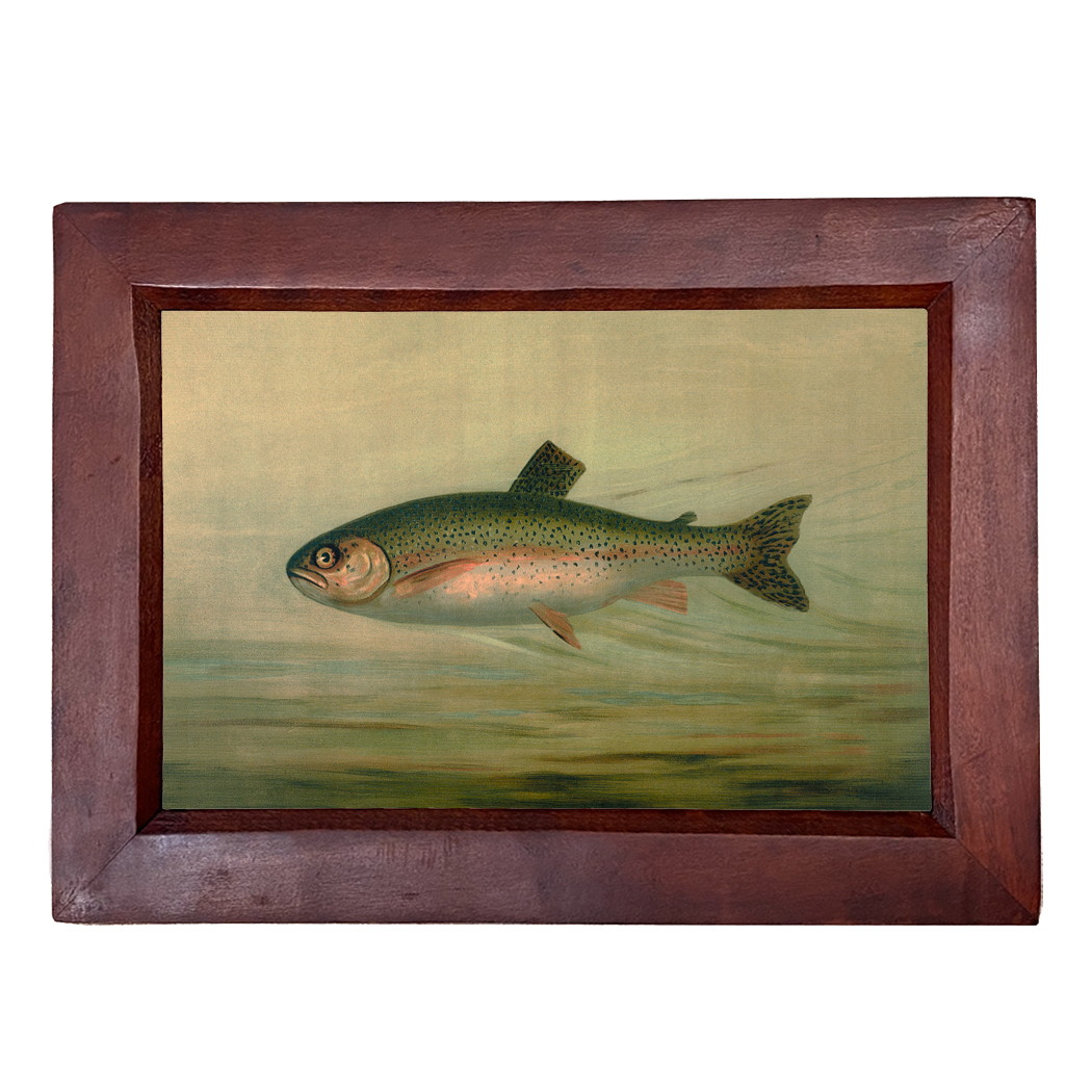 Cabin/Lodge Lodge Rainbow Trout Reproduction Print, Framed Behind Glass