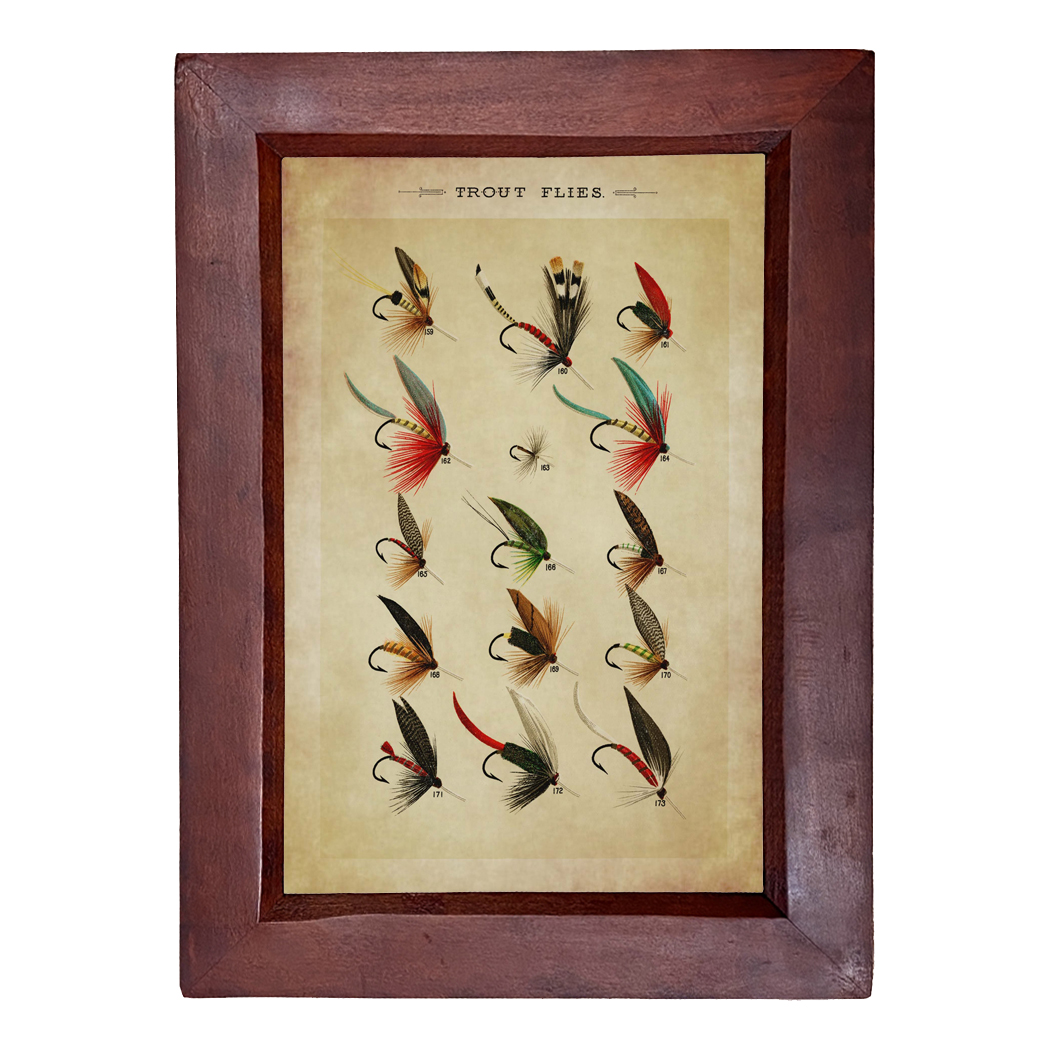 Trout Flies Reproduction Print, Framed Behind Glass - Schooner Bay