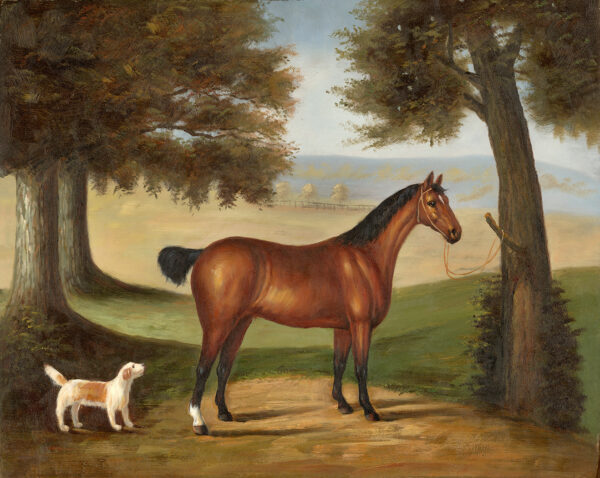 Equestrian/Fox Dogs Horse and Dog in Landscape Framed Oil Painting Print on Canvas