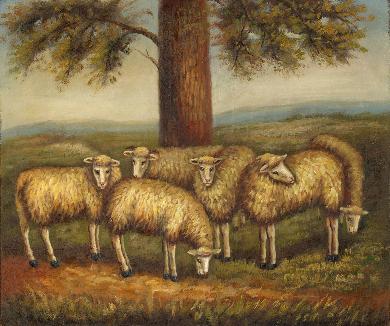 Farm/Pastoral Farm Flock of Six Sheep in a Meadow Framed  ...