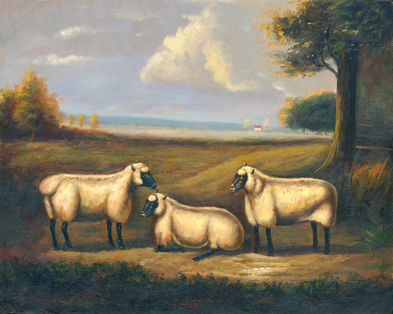 Farm/Pastoral Farm Three Prize Sheep Framed Oil Painting Print on Canvas