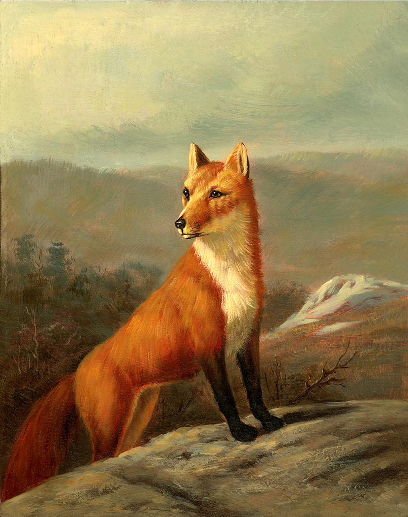 Equestrian/Fox Equestrian Red Fox Framed Oil Painting Print on C ...
