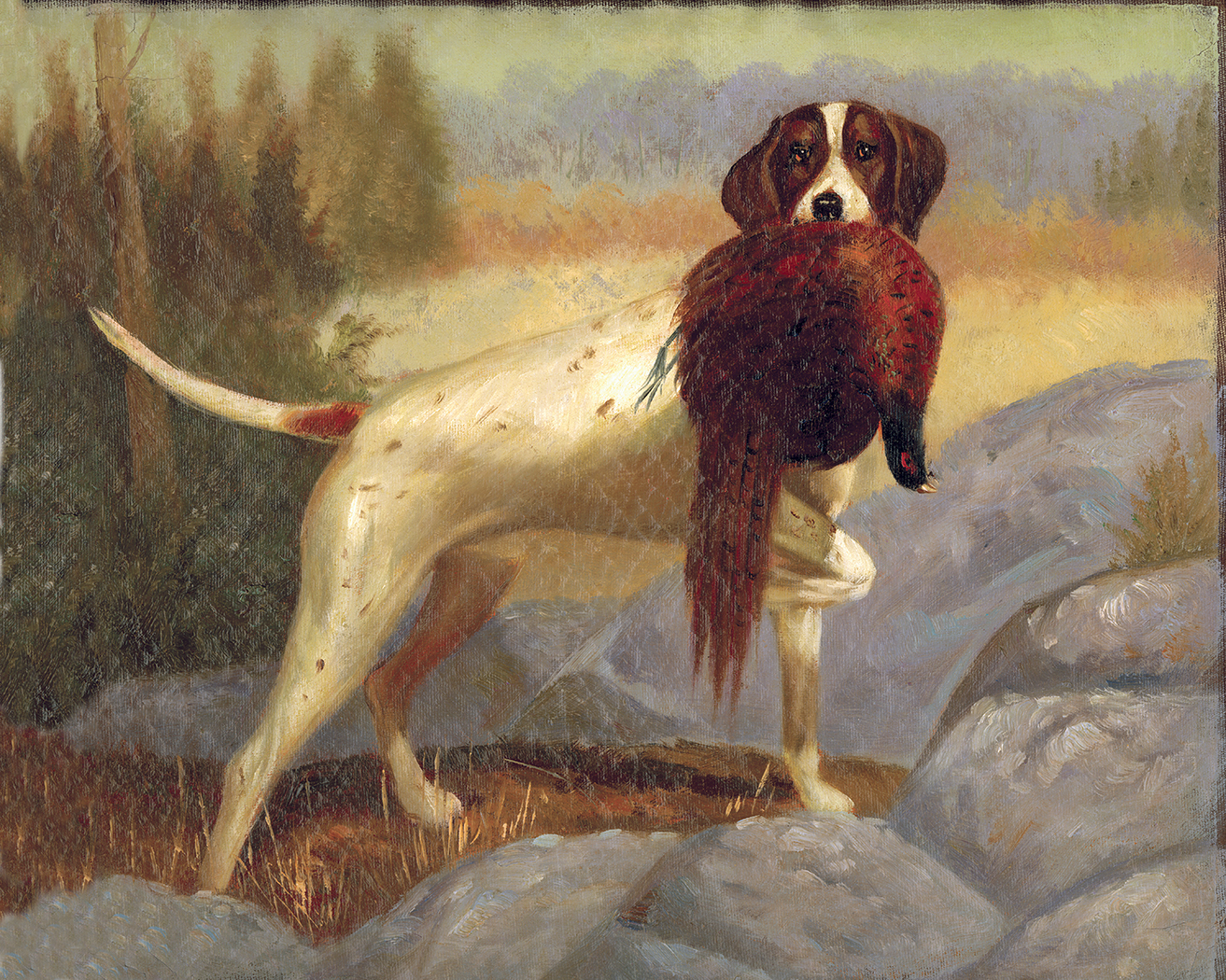 Cabin/Lodge Dogs Pointer with Pheasant Framed Oil Painting Print on Canvas