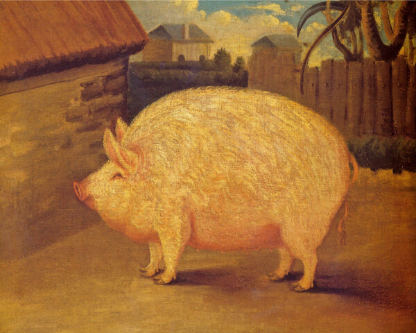 Farm/Pastoral Animals Prize Sow Pig (c. 1840) Framed Oil Painting Print on Canvas