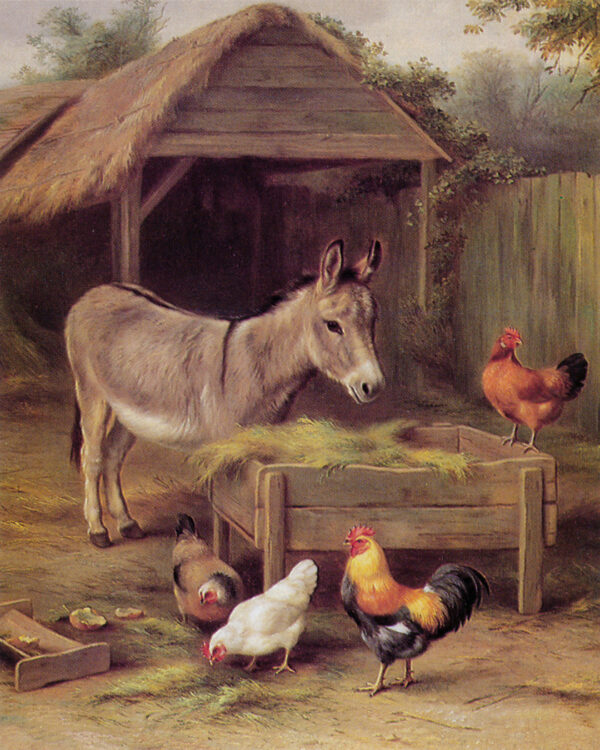 Farm/Pastoral Farm Donkey and Chickens Framed Oil Painting Print on Canvas
