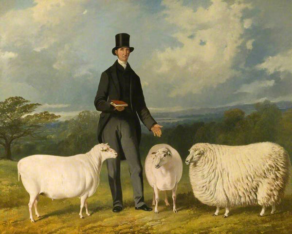 Farm/Pastoral Farm Three Sheep Framed Oil Painting Print on Canvas