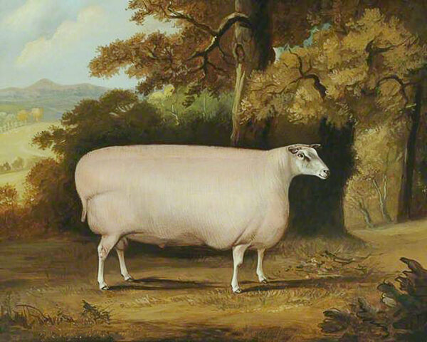 Farm/Pastoral Farm Sheep Framed Oil Painting Print on Canvas