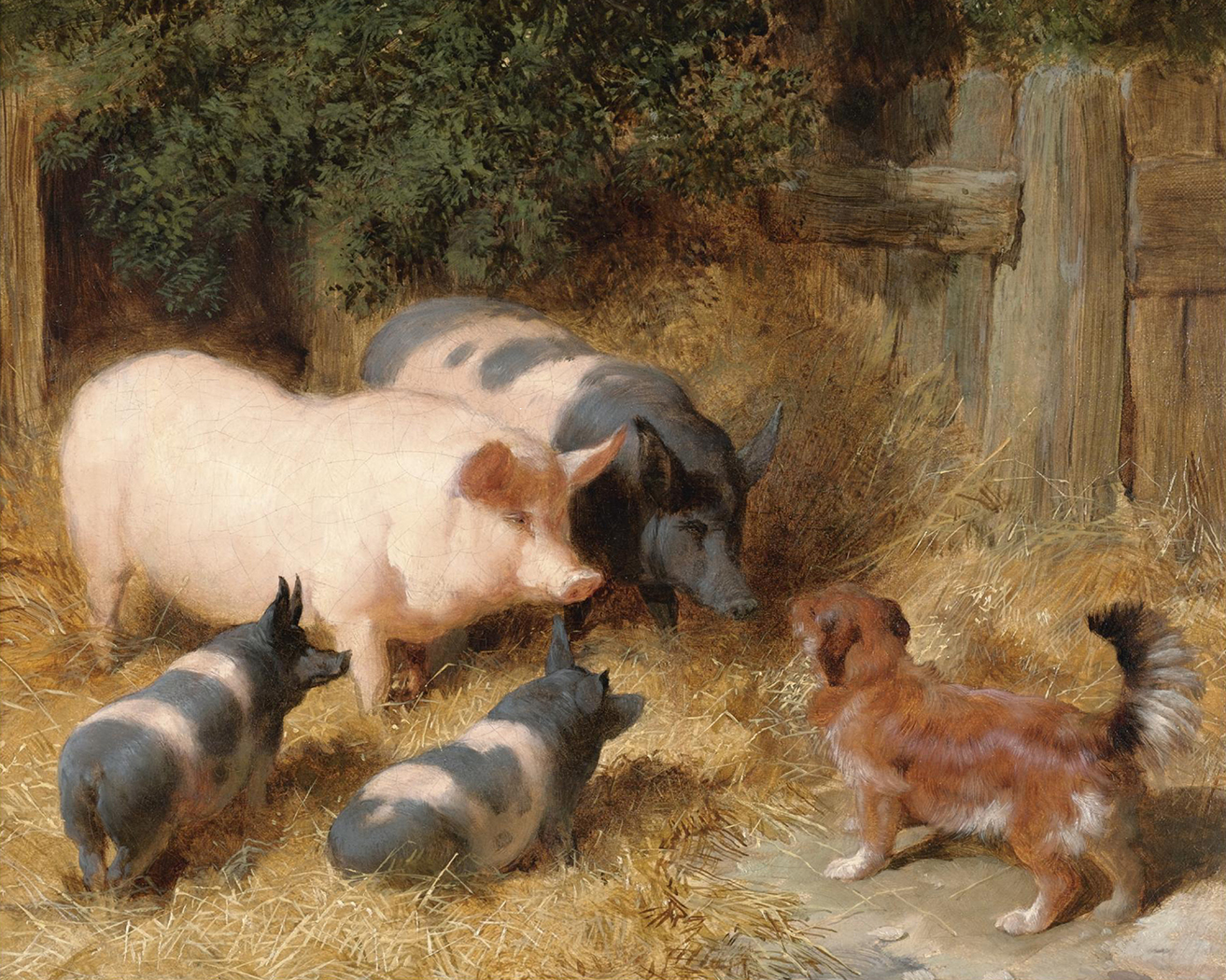 Farm/Pastoral Farm Pigs Barnyard Gossip Framed Oil Painting Print on Canvas