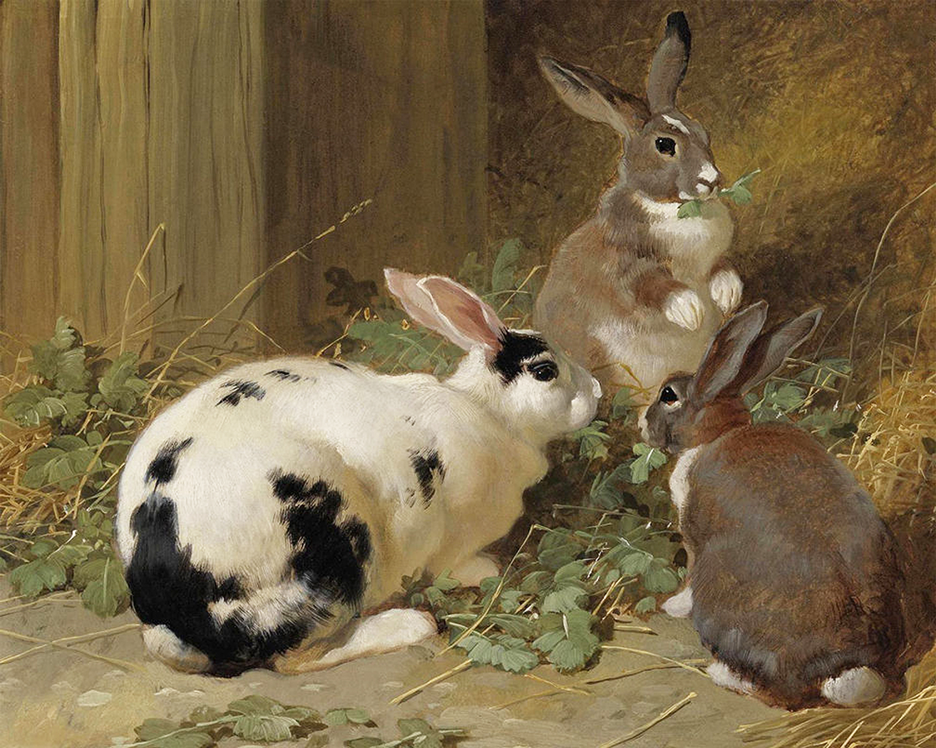 Farm/Pastoral Barnyard Three Rabbits Framed Oil Painting Print on Canvas