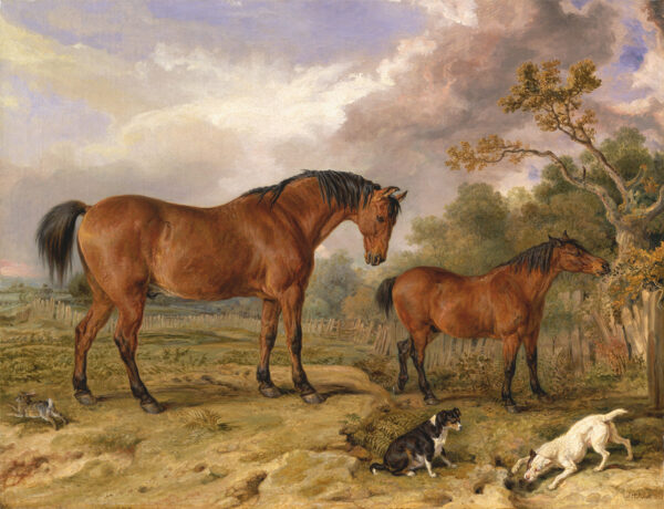 Equestrian/Fox Dogs Two Horses with Dogs and Rabbit Framed Oil Painting Print on Canvas