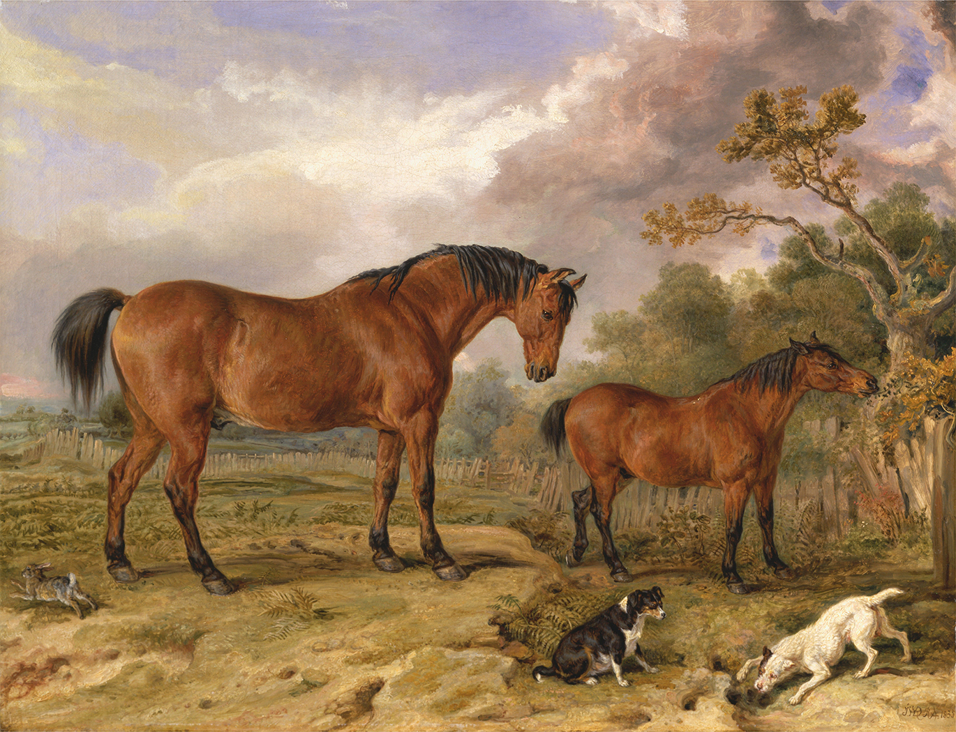 Equestrian/Fox Dogs Two Horses with Dogs and Rabbit Framed ...