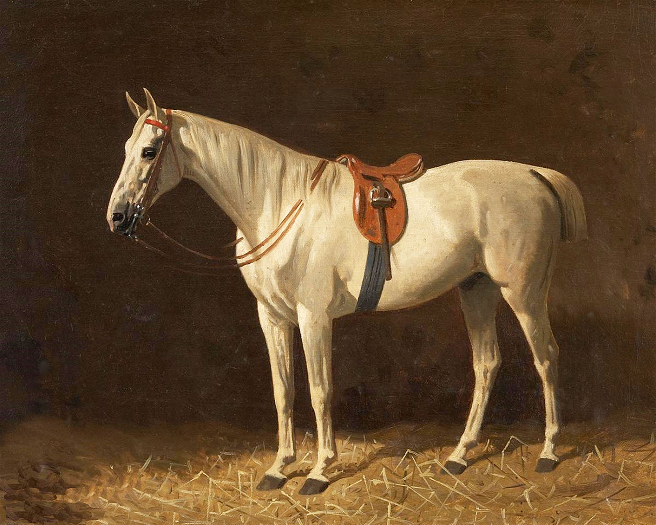 Equestrian/Fox Equestrian Saddled Grey Horse Oil Painting Print  ...