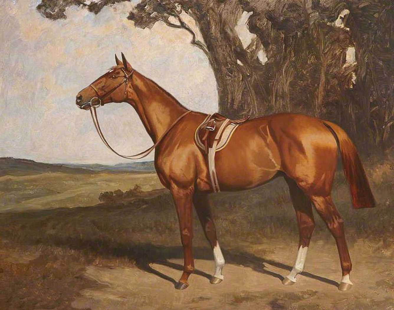 Equestrian/Fox Equestrian Saddled Chestnut Race Horse Framed Oil ...