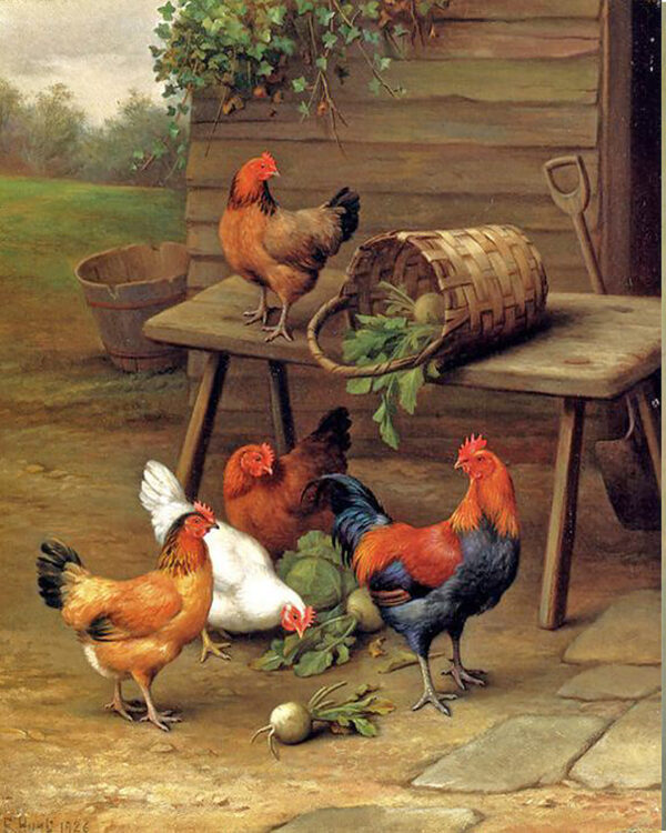 Farm/Pastoral Farm Roosters and Turnips Framed Oil Painting Print on Canvas