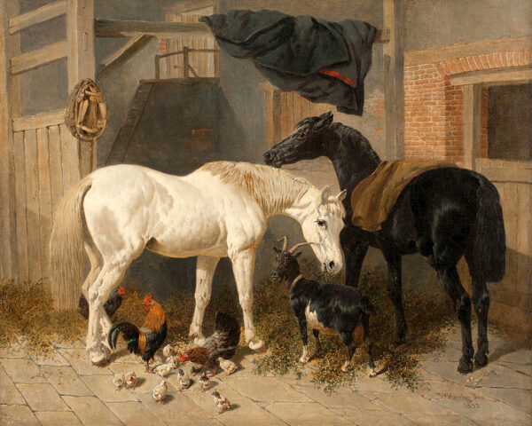 Equestrian/Fox Equestrian Horses –  Goat and Chickens in Barn Oil Painting Print on Canvas