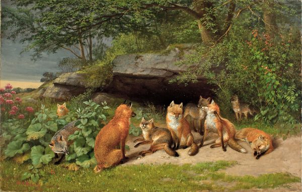 Cabin/Lodge Fox Skulk of Foxes Framed Oil Painting Print on Canvas