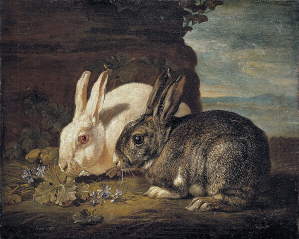 Farm/Pastoral Farm Pair of Rabbits Framed Oil Painting Print on Canvas