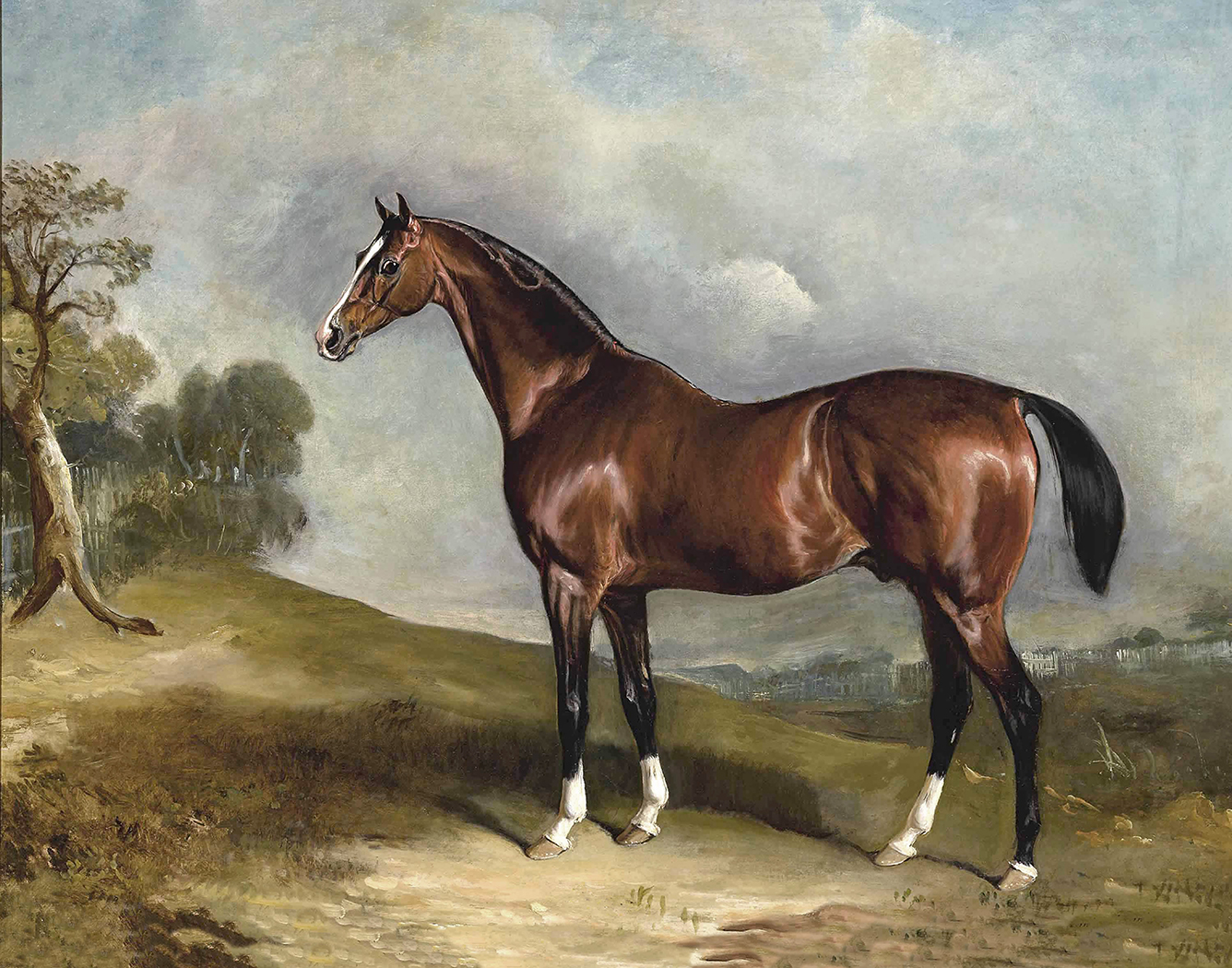 Equestrian/Fox Equestrian Portrait of Sultan in Landscape Oil Pa ...