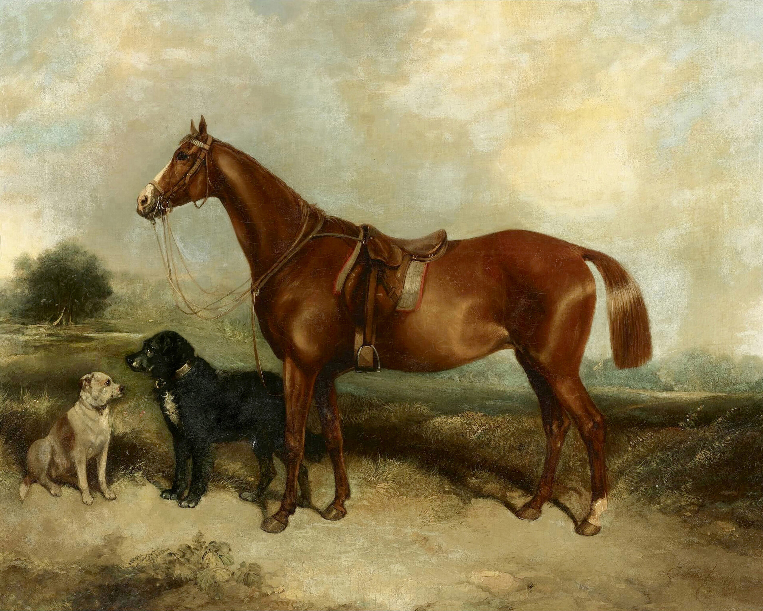 Equestrian/Fox Dogs Chestnut Horse with Two Dogs Oil Paint ...