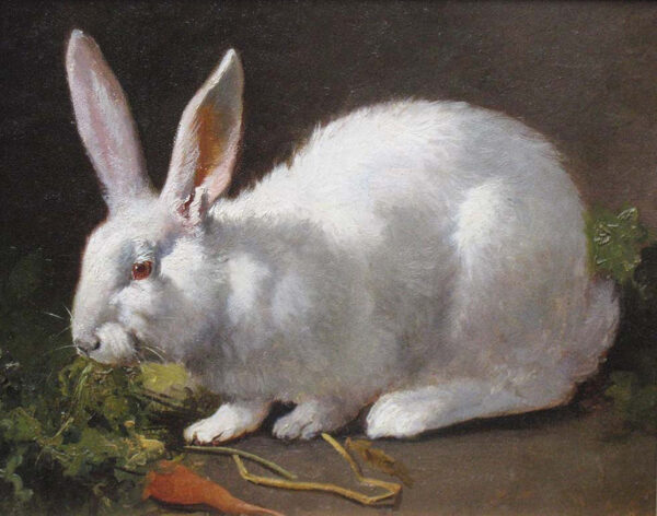 Farm/Pastoral Farm White Rabbit Oil Painting Print on Canvas
