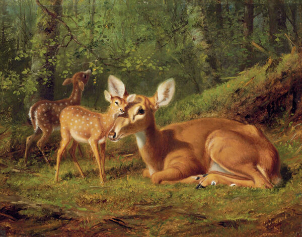 Cabin/Lodge Lodge Doe and Twin Fawns by Tait Framed Oil Painting Print on Canvas