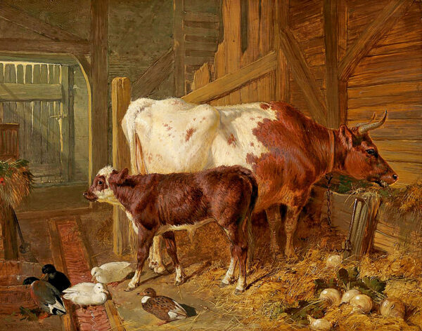 Farm/Pastoral Farm A Cow and Her Calf in Stable Interior with Ducks Framed Oil Painting Print on Canvas