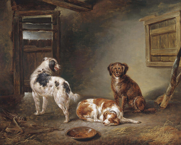 Cabin/Lodge Animals Waiting for Dinner by Charles Towne Framed Dog Oil Painting Print on Canvas