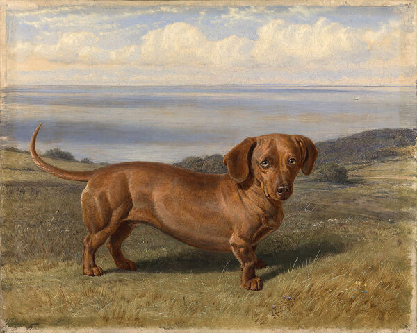 Dogs/Cats Animals “Boy” the Dachshund by Friedrich Wilhem Oil Painting Print on Canvas