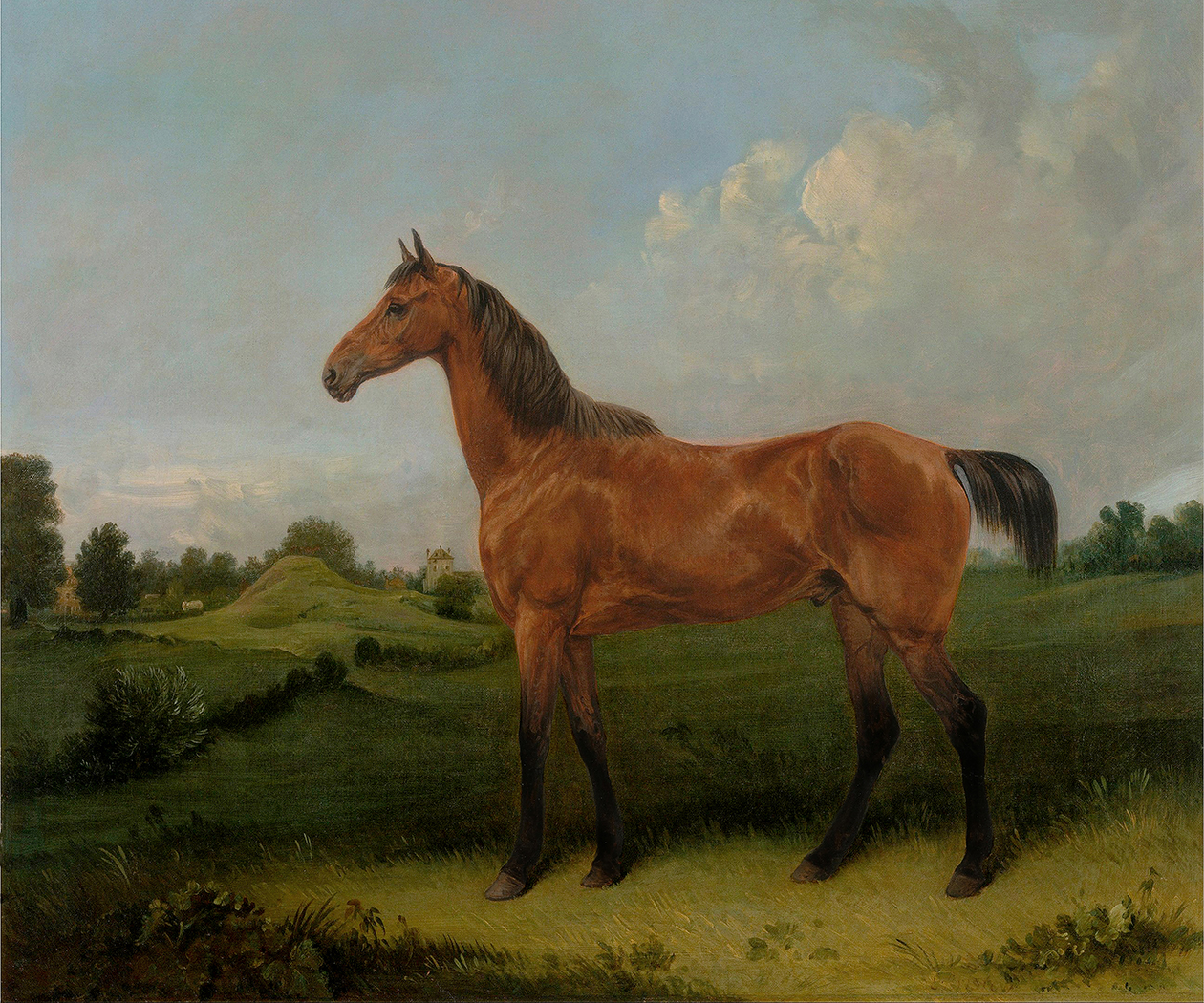 Equestrian/Fox Equestrian Bay Horse in a Field Oil Painting Prin ...