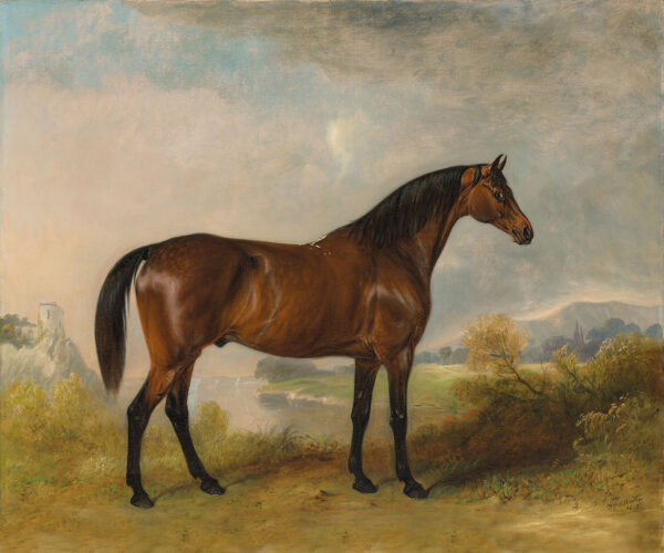 Equestrian/Fox Equestrian A Bay Hunter Framed Oil Painting Print on Canvas
