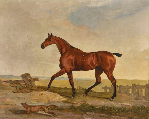 Equestrian/Fox Equestrian A Bay Hunter with a Fox at It’s Side Framed Oil Painting Print on Canvas