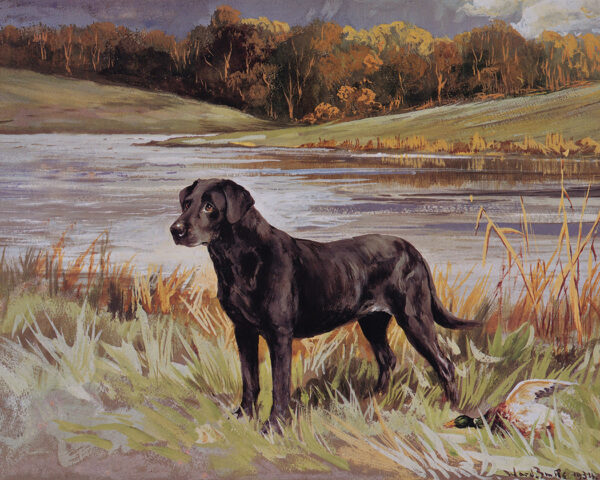 Cabin/Lodge Animals Labrador Retriever with Duck Oil Painting Print on Canvas