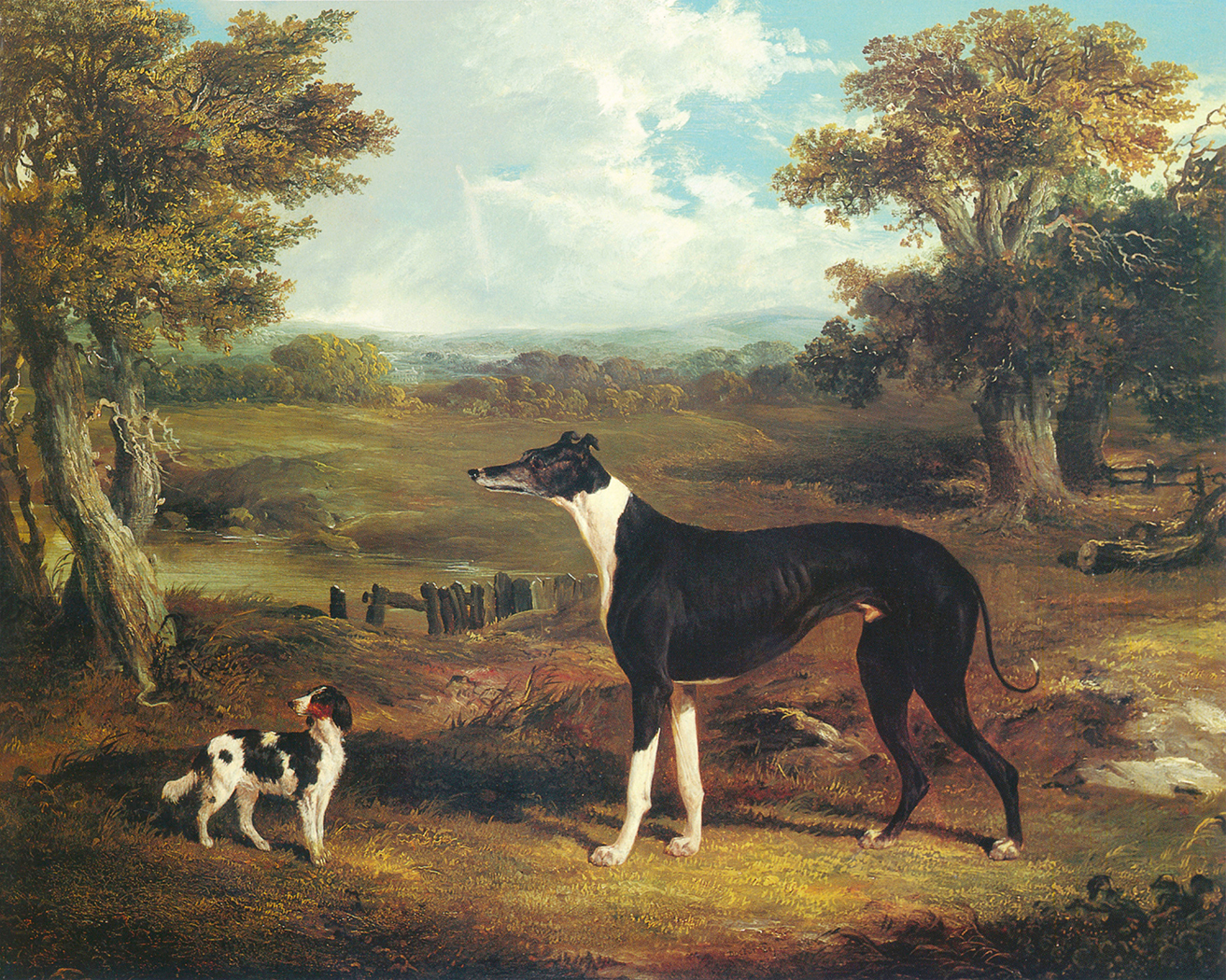 Dogs/Cats Animals Greyhound and King Charles Spaniel Oil ...