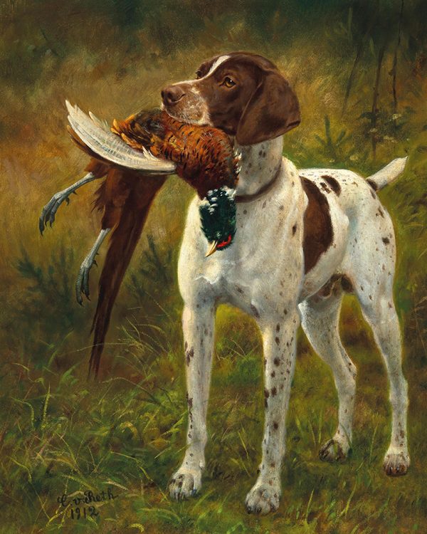 Cabin/Lodge Bird hunting English Pointer with Pheasant