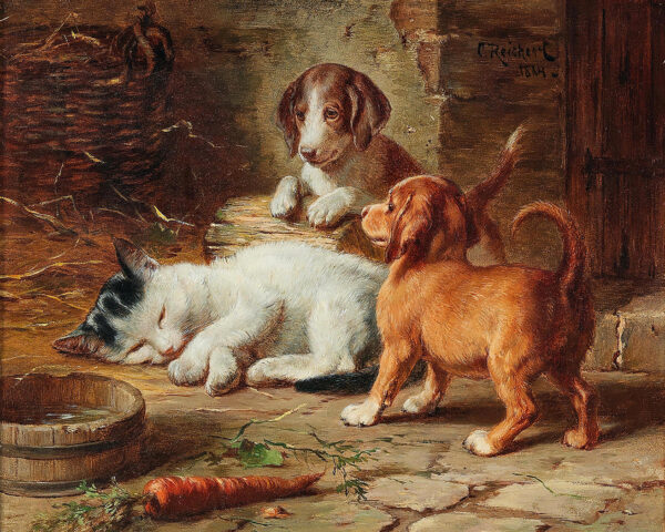 Dogs/Cats Dogs Playful Puppies with Sleepy Kitten Framed Oil Painting Print on Canvas